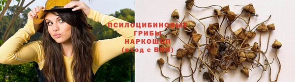 apvp Баксан