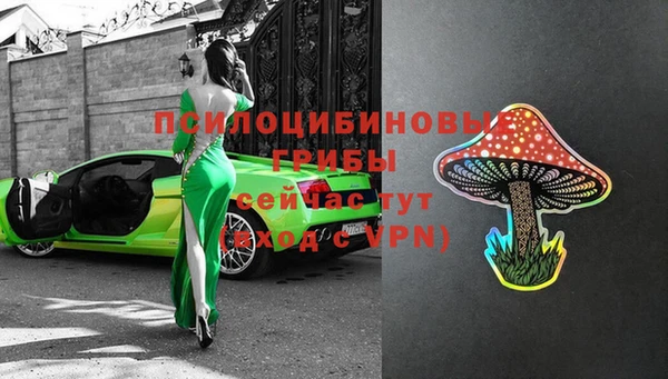 винт Балахна