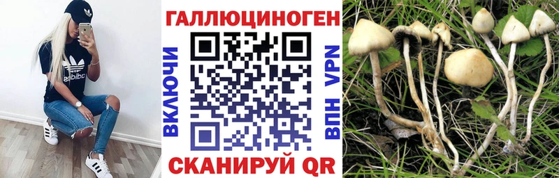 где продают наркотики  OMG зеркало  Галлюциногенные грибы Psilocybe  Балтийск 