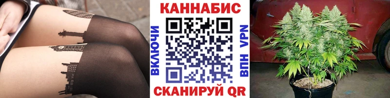 Бошки марихуана семена  где найти наркотики  omg tor  Балтийск 